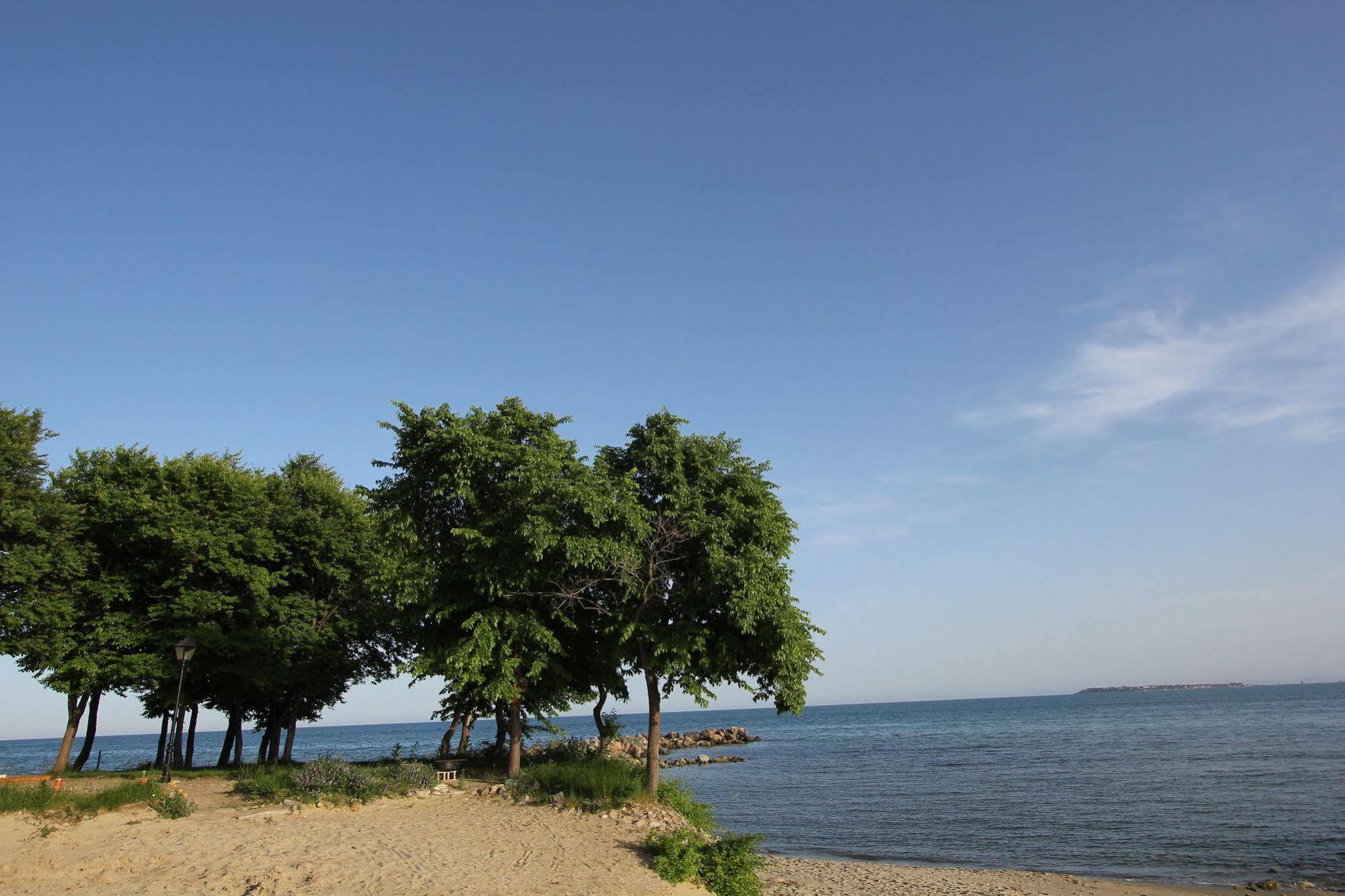 New Line Village Apartments Sunny Beach Dış mekan fotoğraf